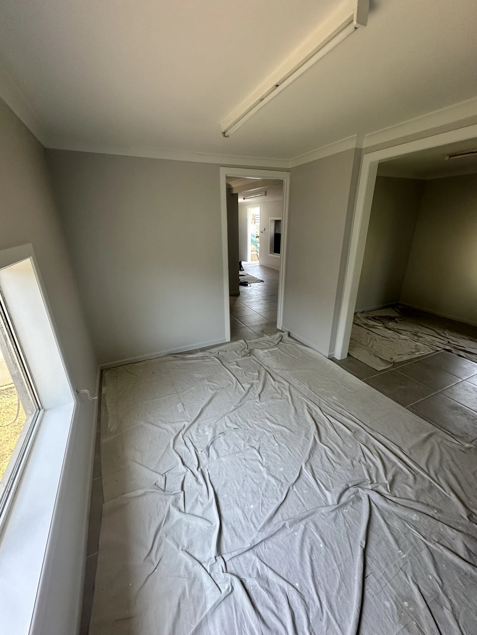 Freshly painted door, frame and skirting board